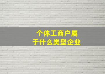 个体工商户属于什么类型企业