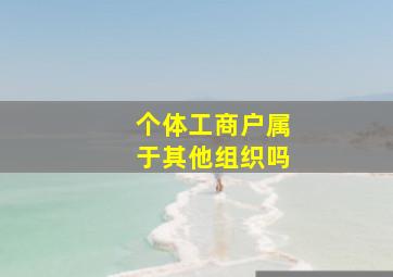 个体工商户属于其他组织吗