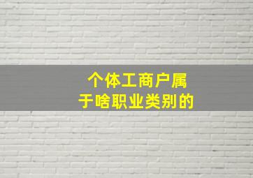 个体工商户属于啥职业类别的