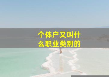 个体户又叫什么职业类别的