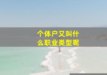 个体户又叫什么职业类型呢