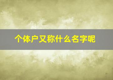 个体户又称什么名字呢