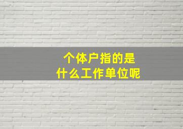 个体户指的是什么工作单位呢