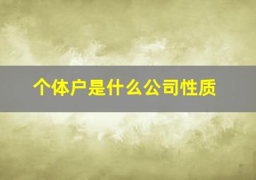 个体户是什么公司性质