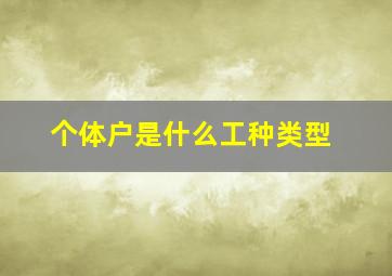 个体户是什么工种类型