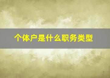 个体户是什么职务类型