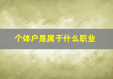 个体户是属于什么职业