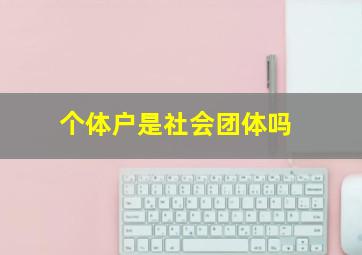 个体户是社会团体吗