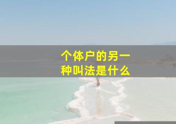 个体户的另一种叫法是什么