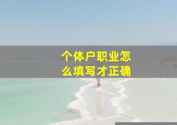 个体户职业怎么填写才正确