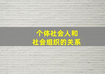 个体社会人和社会组织的关系