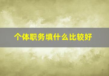 个体职务填什么比较好