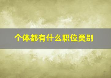 个体都有什么职位类别