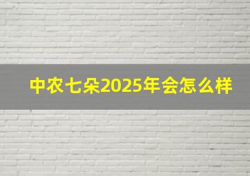 中农七朵2025年会怎么样