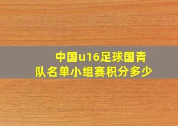 中国u16足球国青队名单小组赛积分多少