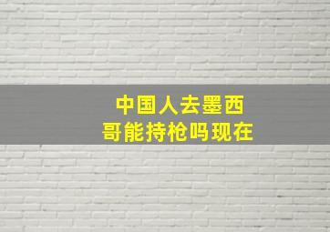 中国人去墨西哥能持枪吗现在