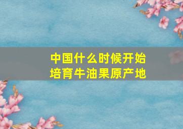 中国什么时候开始培育牛油果原产地