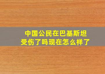 中国公民在巴基斯坦受伤了吗现在怎么样了