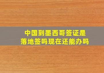 中国到墨西哥签证是落地签吗现在还能办吗