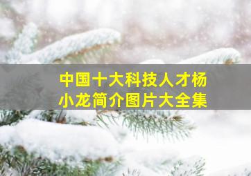 中国十大科技人才杨小龙简介图片大全集