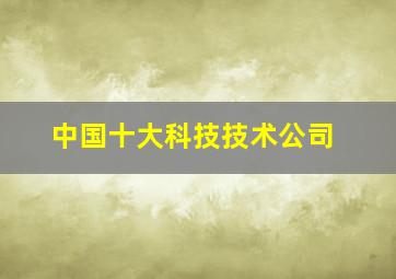 中国十大科技技术公司