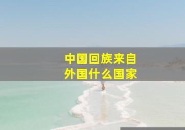 中国回族来自外国什么国家