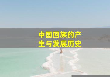 中国回族的产生与发展历史