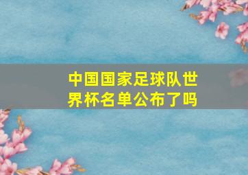 中国国家足球队世界杯名单公布了吗