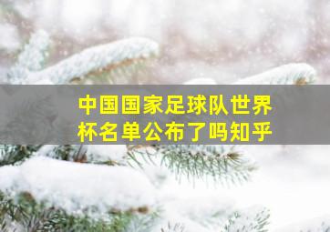 中国国家足球队世界杯名单公布了吗知乎