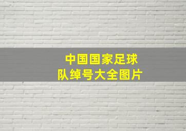 中国国家足球队绰号大全图片