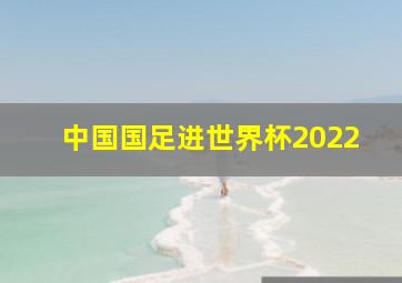 中国国足进世界杯2022