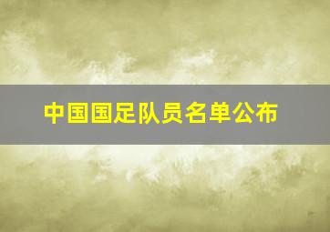 中国国足队员名单公布