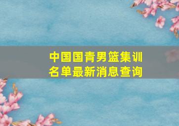 中国国青男篮集训名单最新消息查询