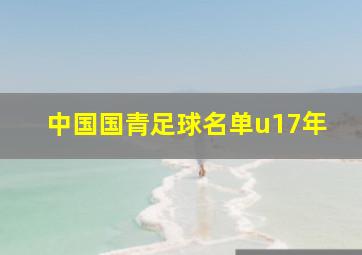 中国国青足球名单u17年