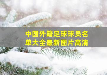 中国外籍足球球员名单大全最新图片高清