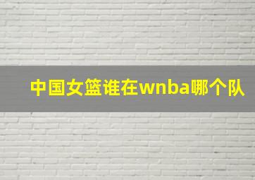 中国女篮谁在wnba哪个队