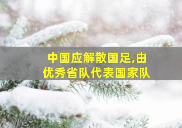 中国应解散国足,由优秀省队代表国家队