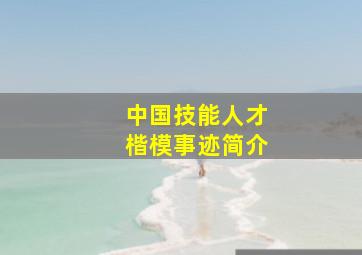 中国技能人才楷模事迹简介