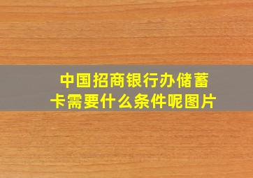 中国招商银行办储蓄卡需要什么条件呢图片