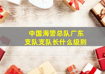 中国海警总队广东支队支队长什么级别