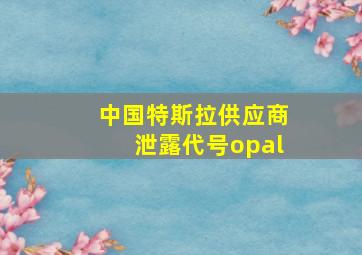 中国特斯拉供应商泄露代号opal