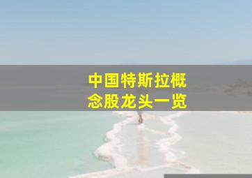 中国特斯拉概念股龙头一览