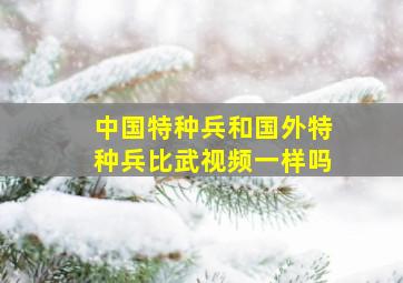 中国特种兵和国外特种兵比武视频一样吗