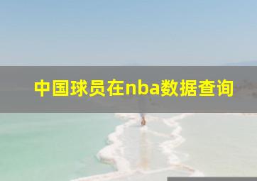 中国球员在nba数据查询