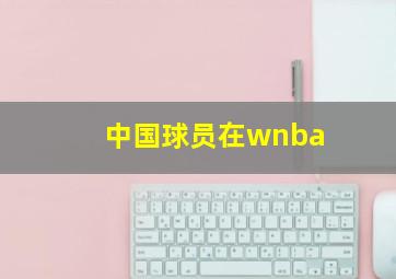 中国球员在wnba