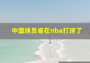 中国球员谁在nba打球了