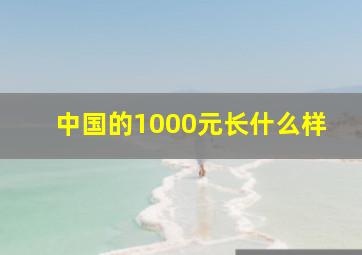 中国的1000元长什么样