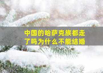 中国的哈萨克族都走了吗为什么不能结婚