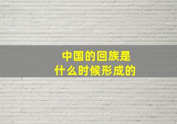 中国的回族是什么时候形成的