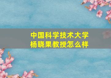 中国科学技术大学杨晓果教授怎么样